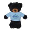 Bears