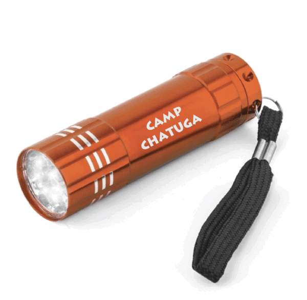 LED Flashlights - Image 5
